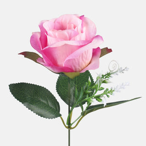 Roosa/lilla