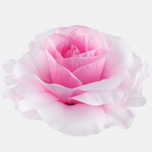 Roosa