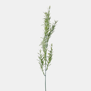 Heleroheline