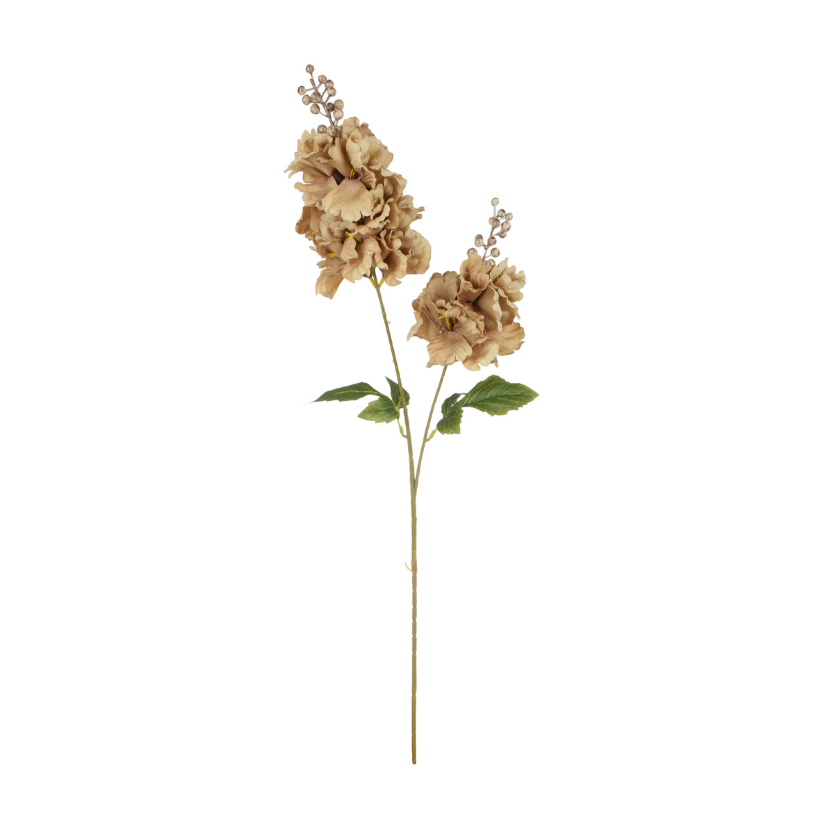 Ruskea tekohortensian kukkavarsi, 85 cm