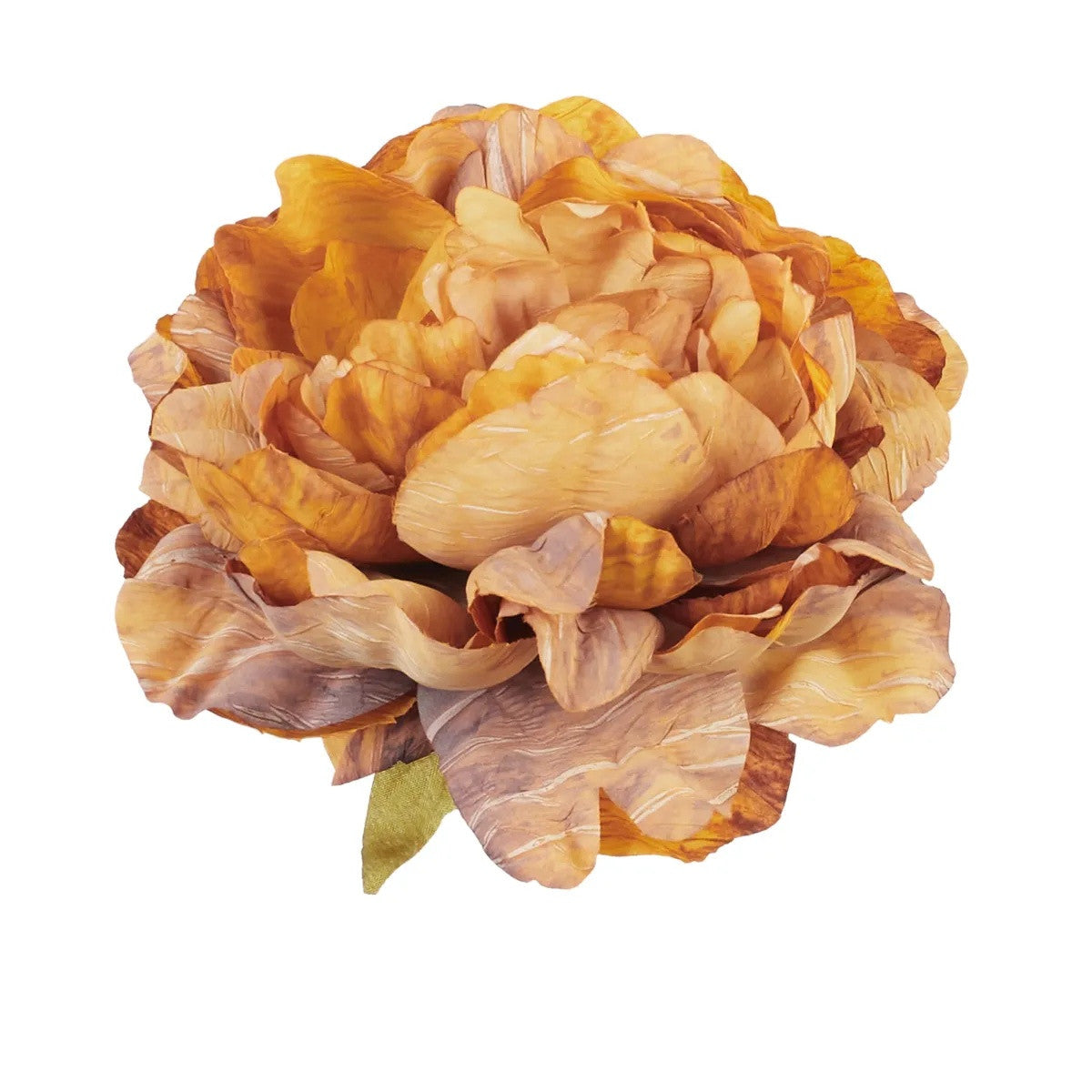 Ruskea tekopionin kukkapää, 14 cm