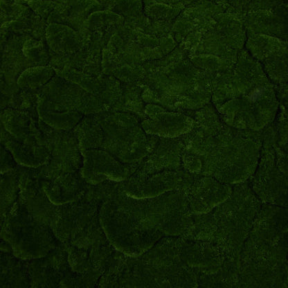 Sammal – tekokasvi, 2 m