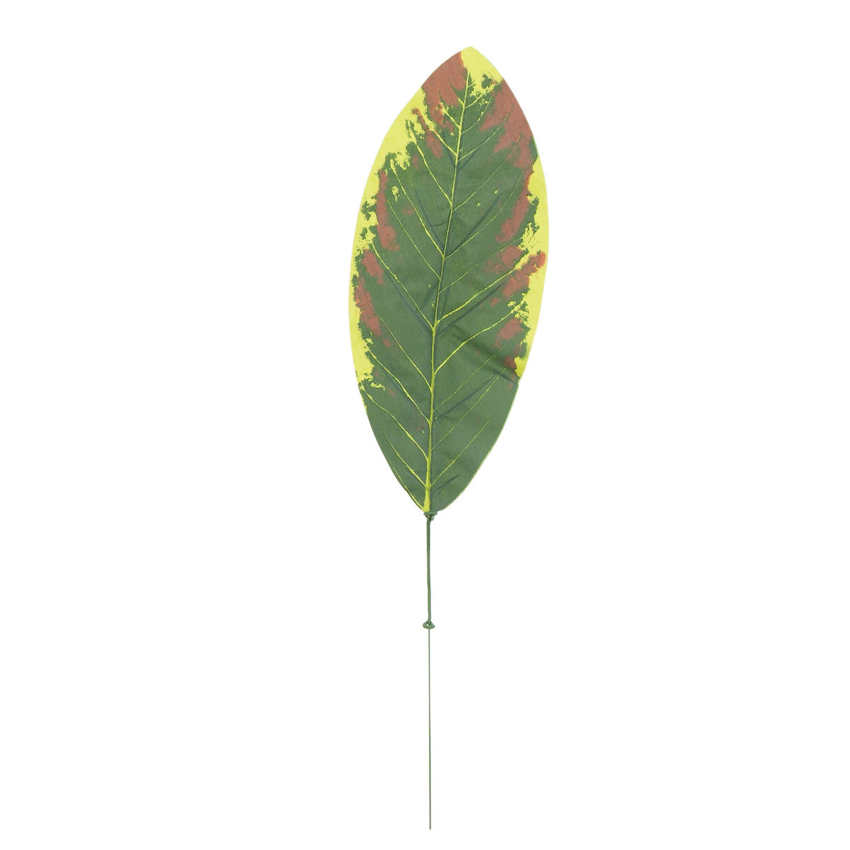 Sammal – tekolehti, 49 cm, 12 kpl