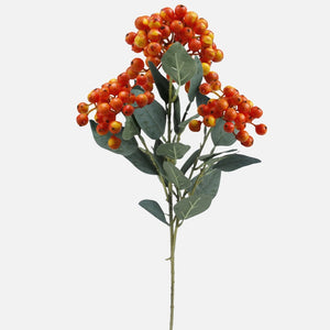 Oranž