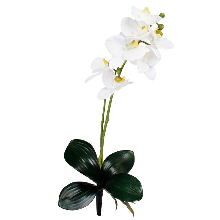Kreemjas orhidee kunstlill 47 cm - Kunstlilled