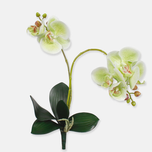 Vaaleanvihreä orkidea tekokukka 50 cm - Tekokukat