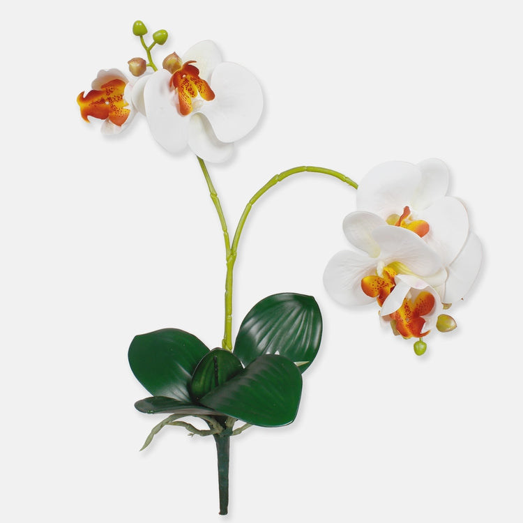 Kreemjas orhidee kunstlill 50 cm - Kunstlilled