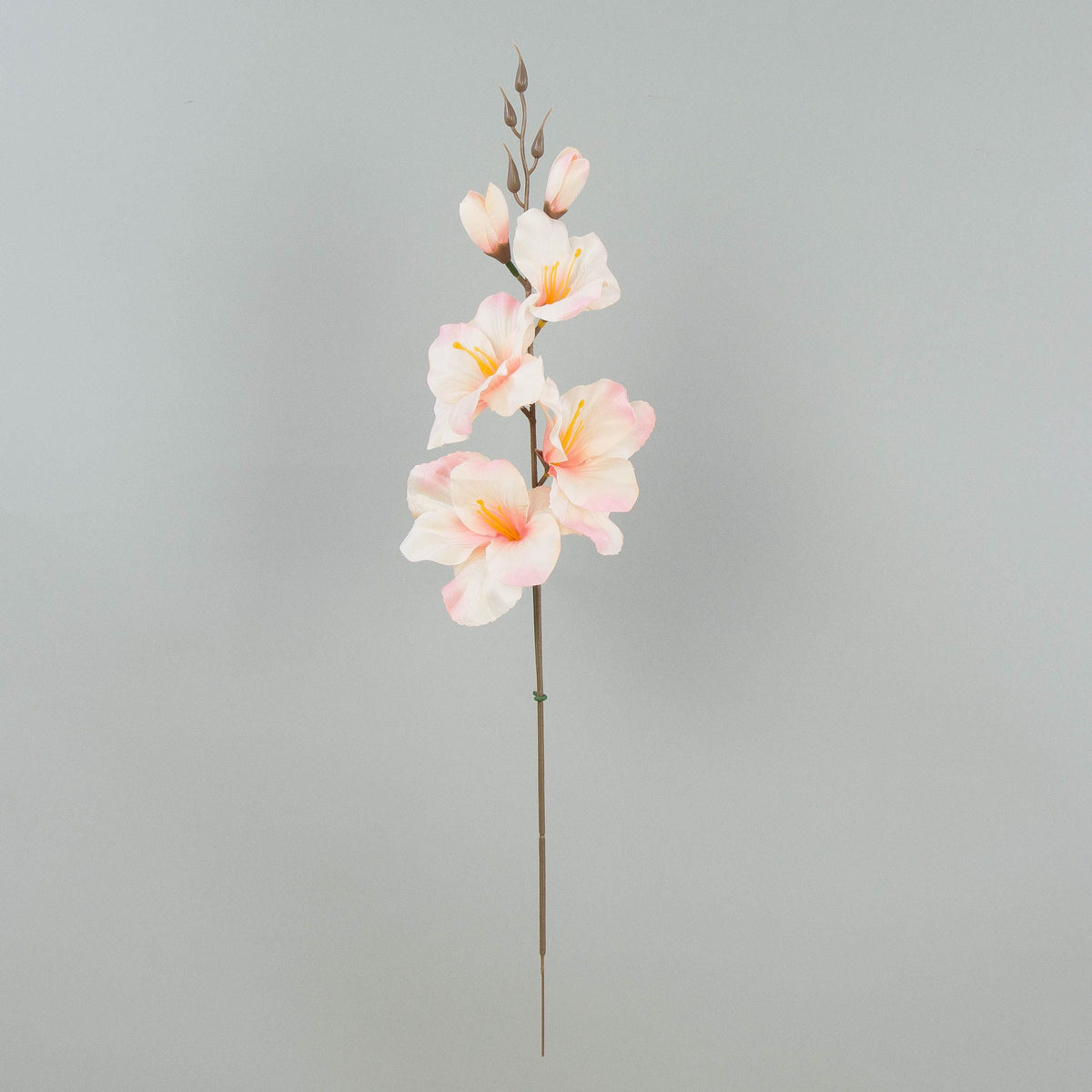 Syksyinen/kerma/vaaleanpunainen gladiolus – tekokukka, satiini, 12 kpl