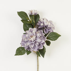 Harmaanvioletti tekodaalia