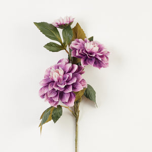 Violetti tekodaalia