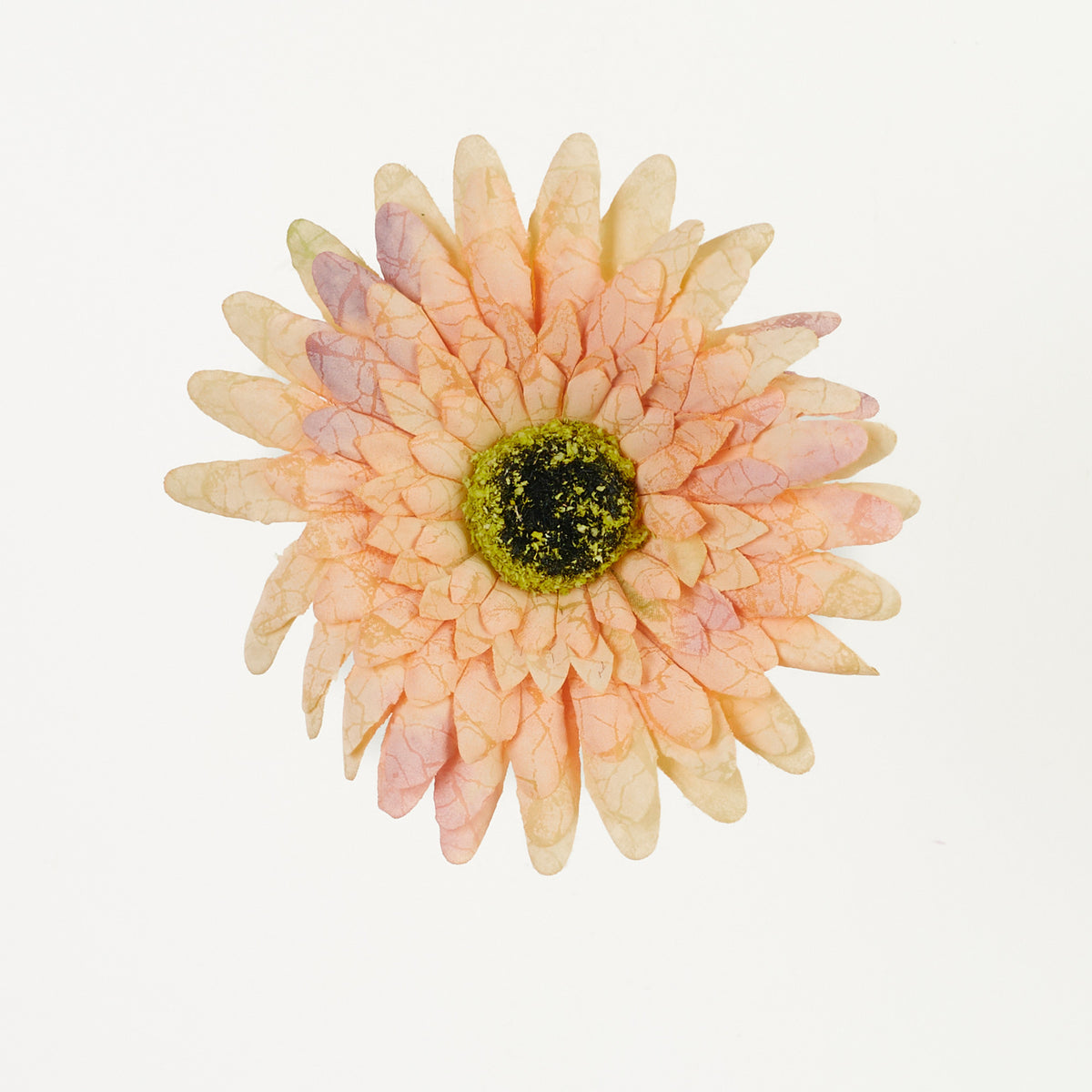 Tekogerberan kukkapää, 12 cm