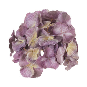 Malvanvioletti hortensian kukkapää Ø16 cm