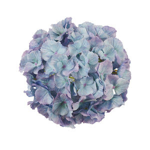 Vaaleansininen-violetti hortensian kukkapää Ø21 cm