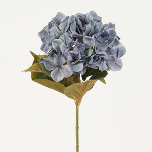 Tumma siniharmaa tekohortensia