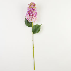 Roosa-purppuranvärinen-vihreä tekohortensia