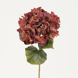 Viininpunainen tekohortensia