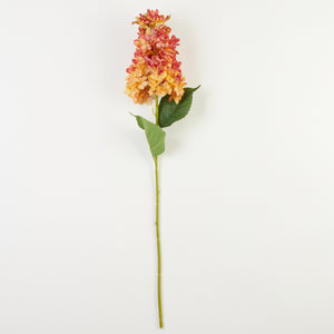 Keltainen-roosa tekohortensia
