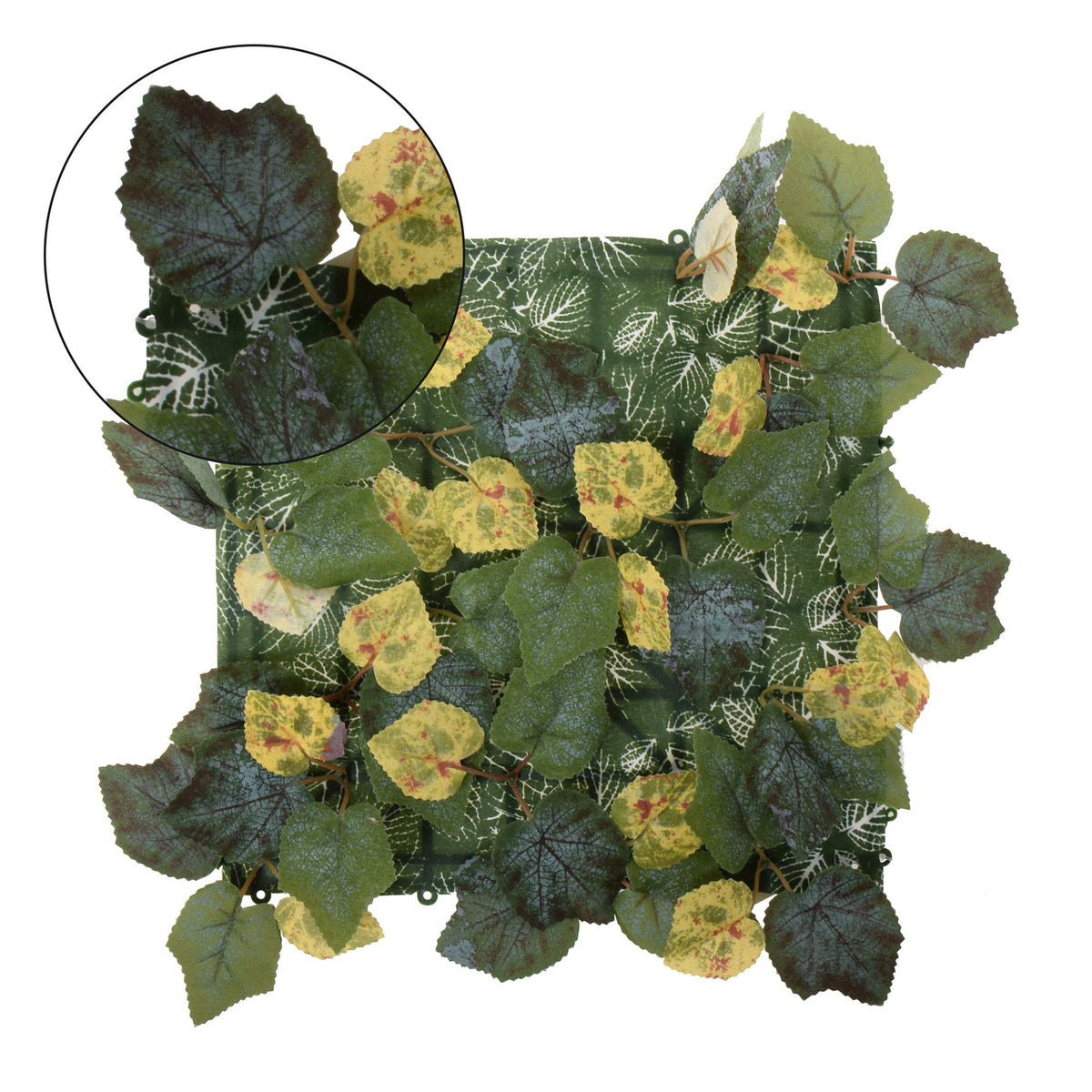 Tekokasvi, 25 cm