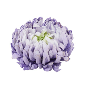 Violetti krysanteemin kukkapää