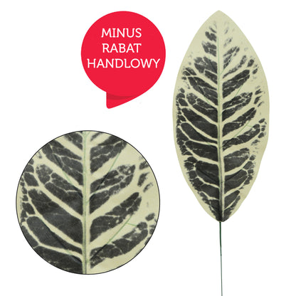 Tekolehti, 49 cm