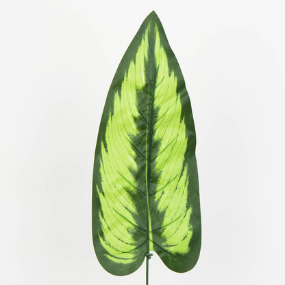 Tekolehti, 50 cm, 12 kpl