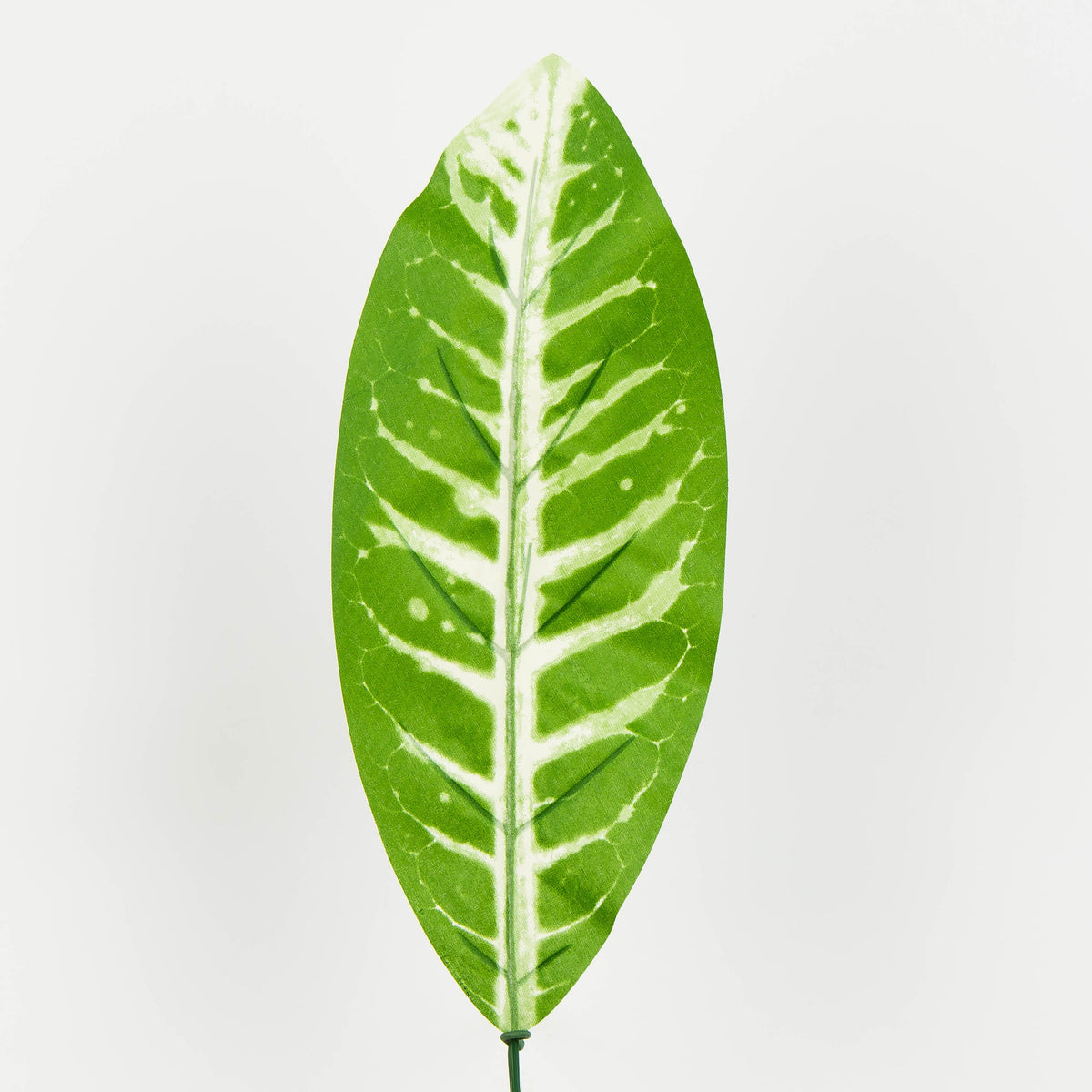 Tekolehti, 50 cm, 12 kpl