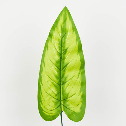 Tekolehti, 51 cm, 12 kpl