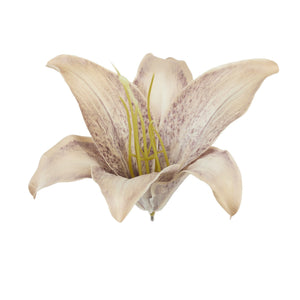 Beige liljan kukkapää Ø18 cm