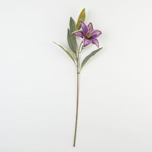 Violetti-valkoinen tekolilja, raidalliset terälehdet