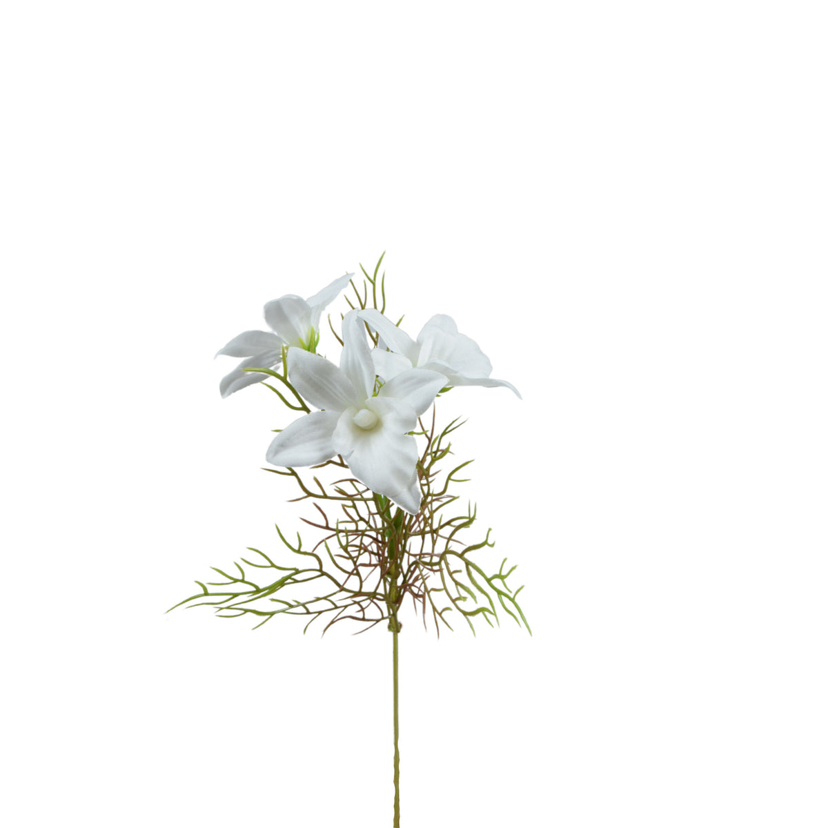 Tekonarsissin kukkavarsi, 33 cm