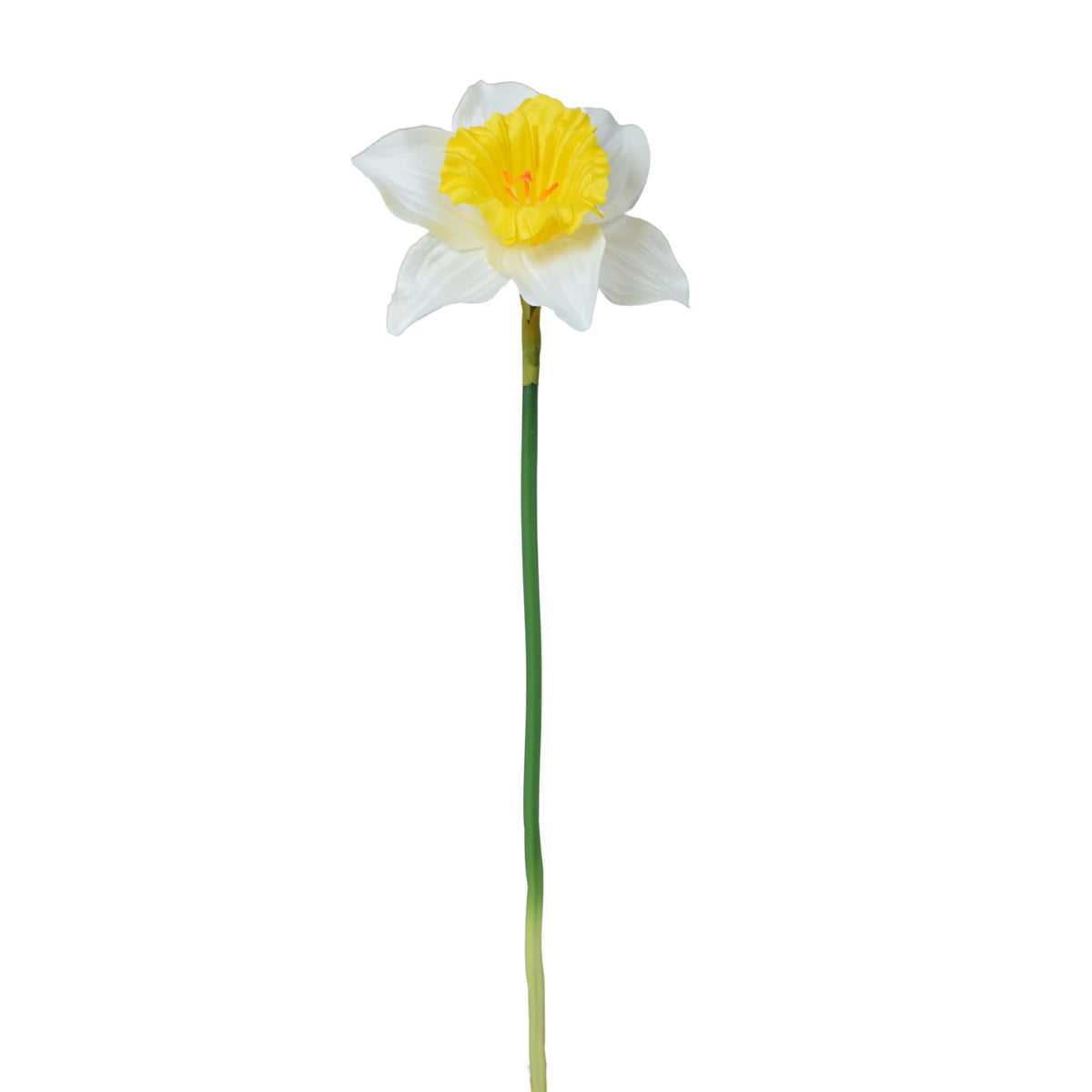 Tekonarsissin kukkavarsi, 39 cm