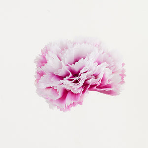 Valkoinen-violetti neilikan kukkapää Ø9 cm
