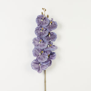 Violetti tekoorkidea
