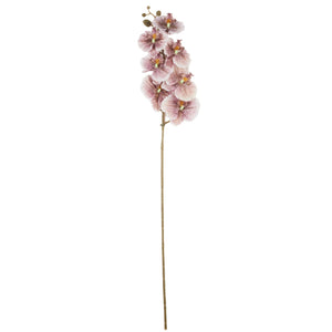 Puuteriroosa tekoorkidea