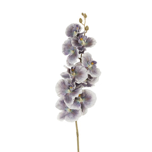 Harmaanvioletti tekoorkidea