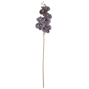 Harmaanvioletti tekoorkidea