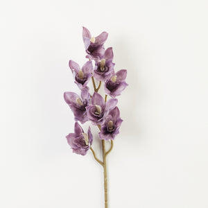 Murrettu violetti tekoorkidea
