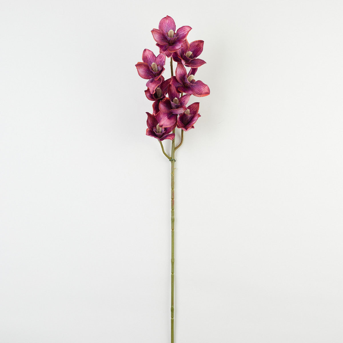 Tekoorkidean kukkavarsi