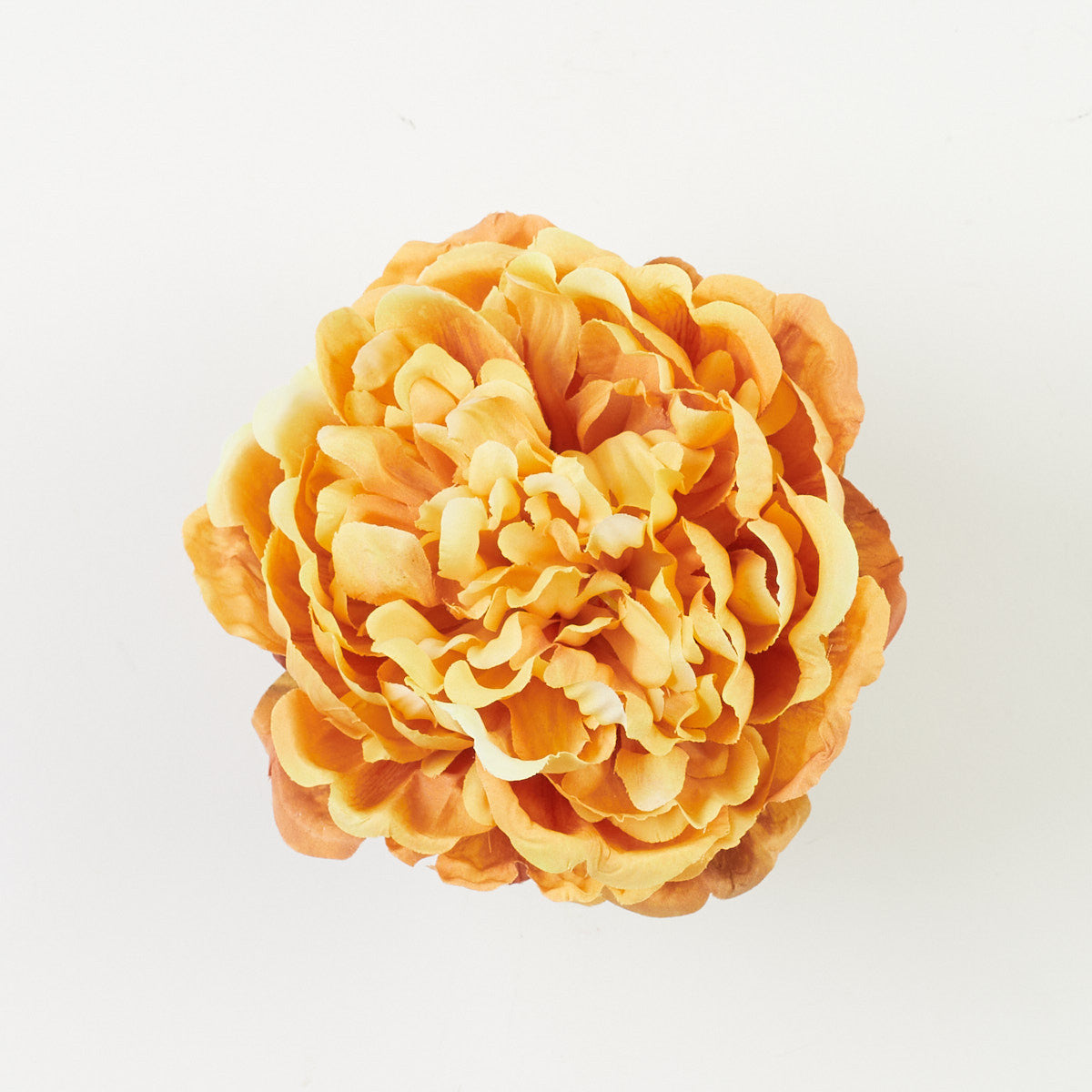 Tekopionin kukkapää, 7 cm