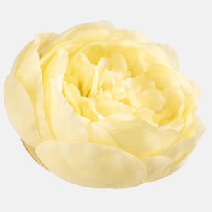 Keltainen-kermanvärinen pionin kukkapää Ø8 cm