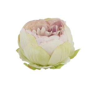 Vaaleanvihreä-liila pionin kukkapää Ø8 cm, nuppumainen