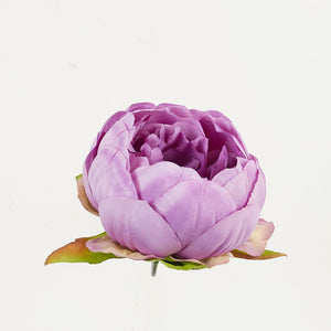 Roosanvioletti pionin kukkapää Ø8 cm, nuppumainen