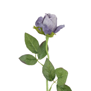 Harmaanvioletti tekoruusu