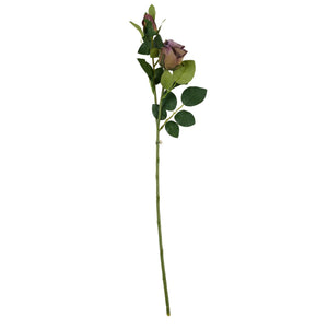 Violetti tekoruusu, kukka ja nuppu
