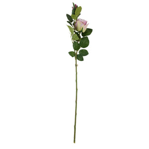 Vaaleanvioletti tekoruusu, kukka ja nuppu