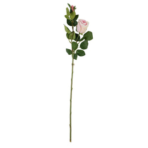 Roosa tekoruusu, kukka ja nuppu