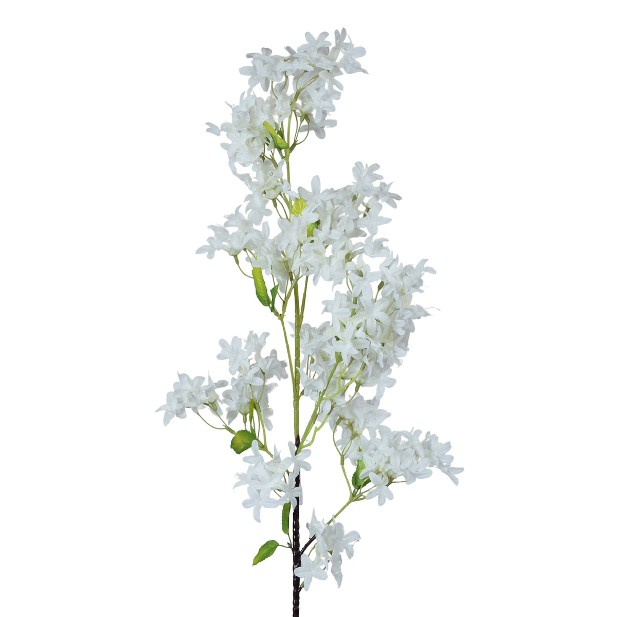 Tekosyreenin kukkavarsi, 99 cm