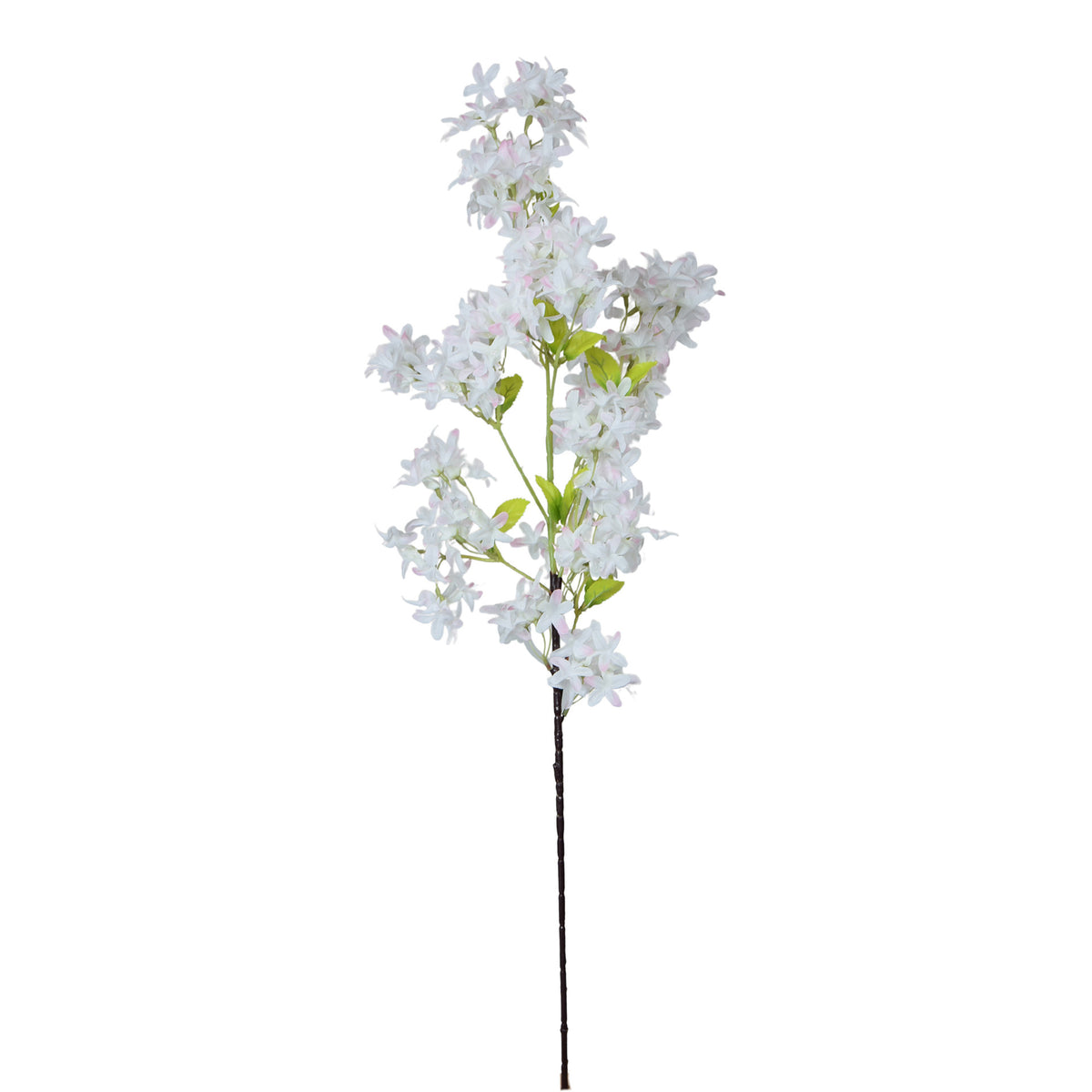 Tekosyreenin kukkavarsi, 99 cm