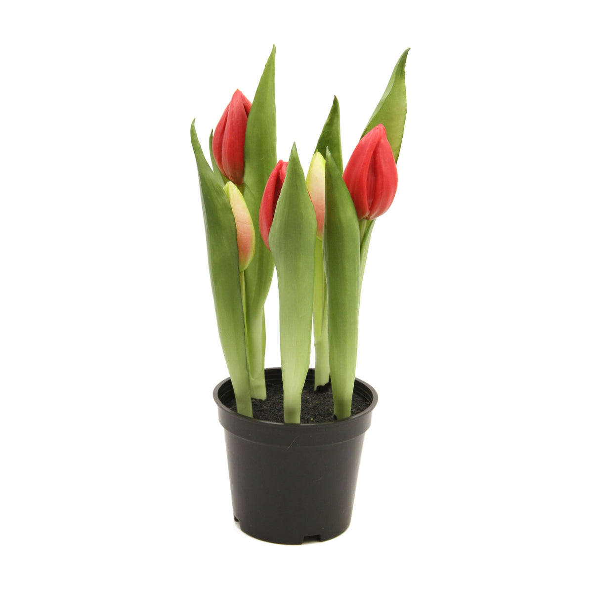 Tekotulppaanin kimppu, 25 cm