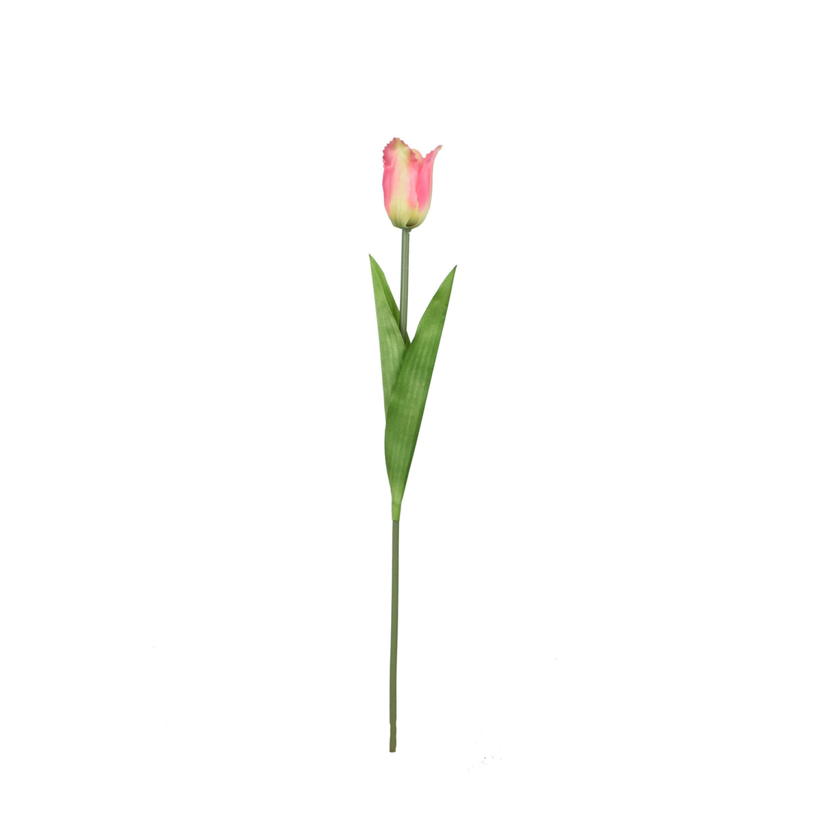 Tekotulppaanin kukkavarsi, 53 cm